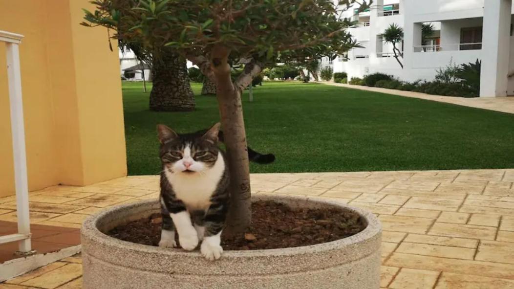 Casa En Urb. Con La Piscina Mas Grande De Javea. Εξωτερικό φωτογραφία